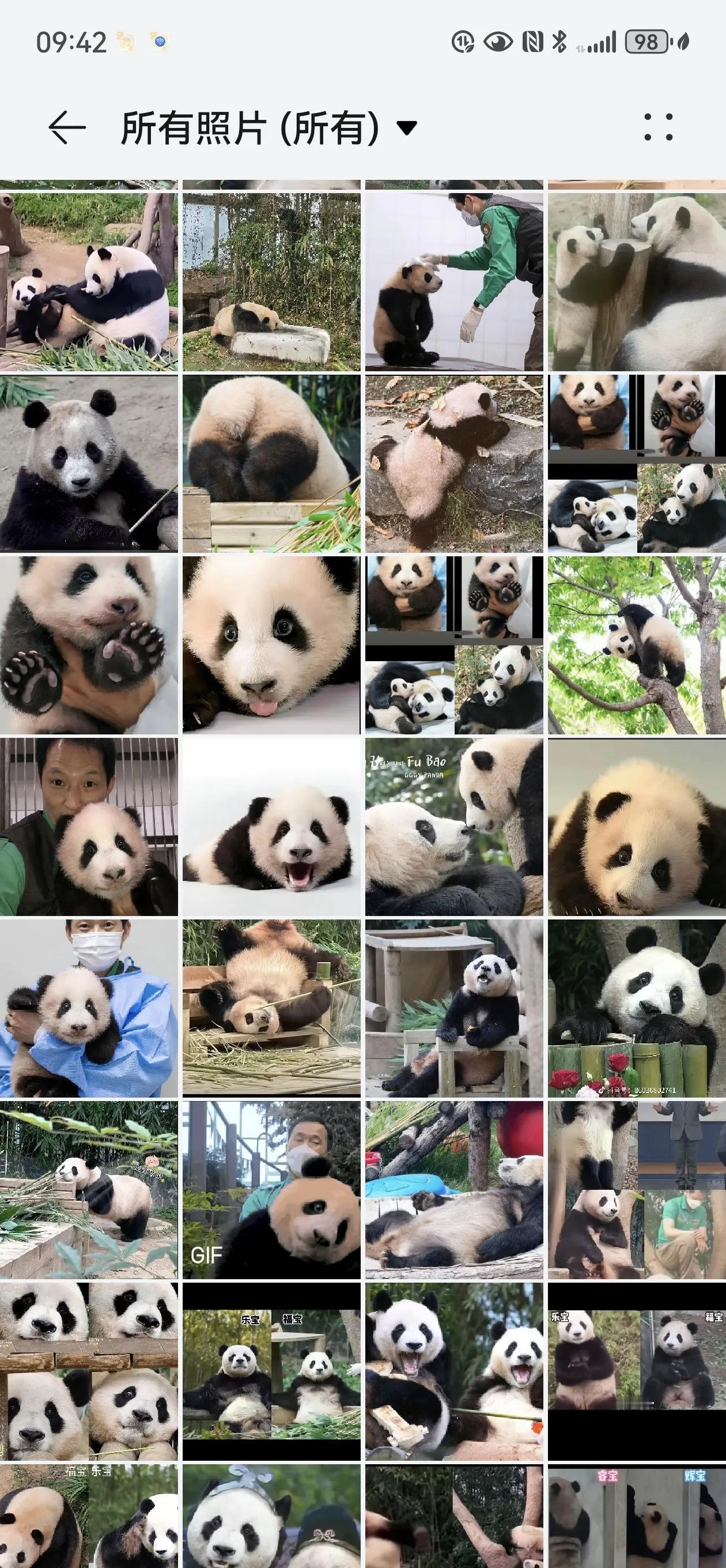 #用一张图片证明你喜欢福宝#