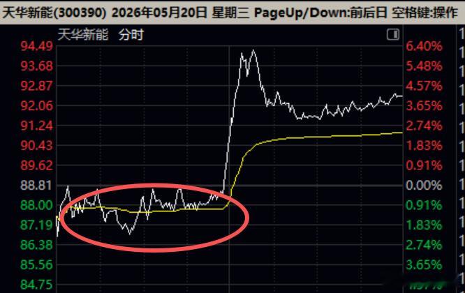 孙红雷