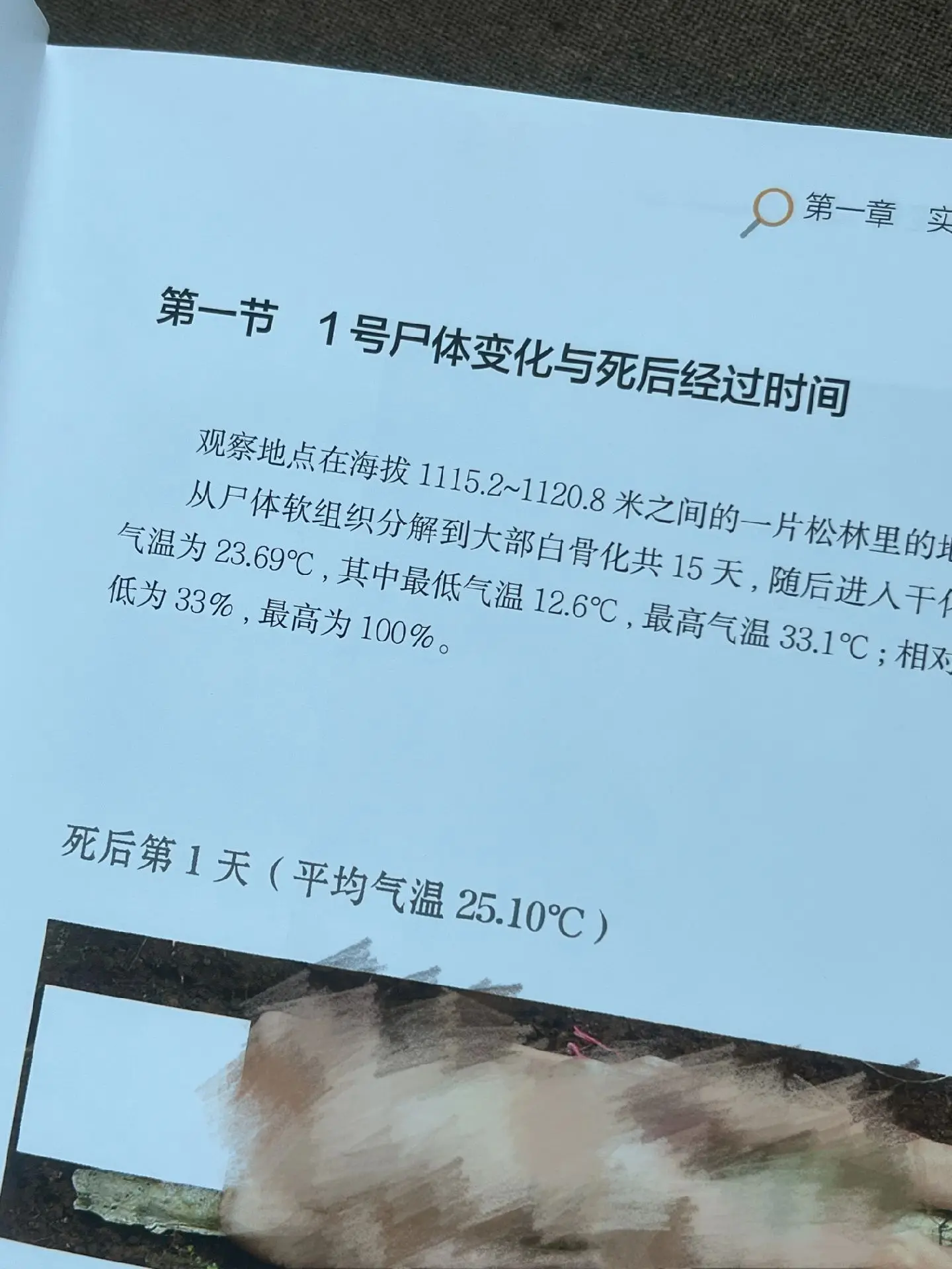 无论什么恐怖片都不如这本书的口味重！