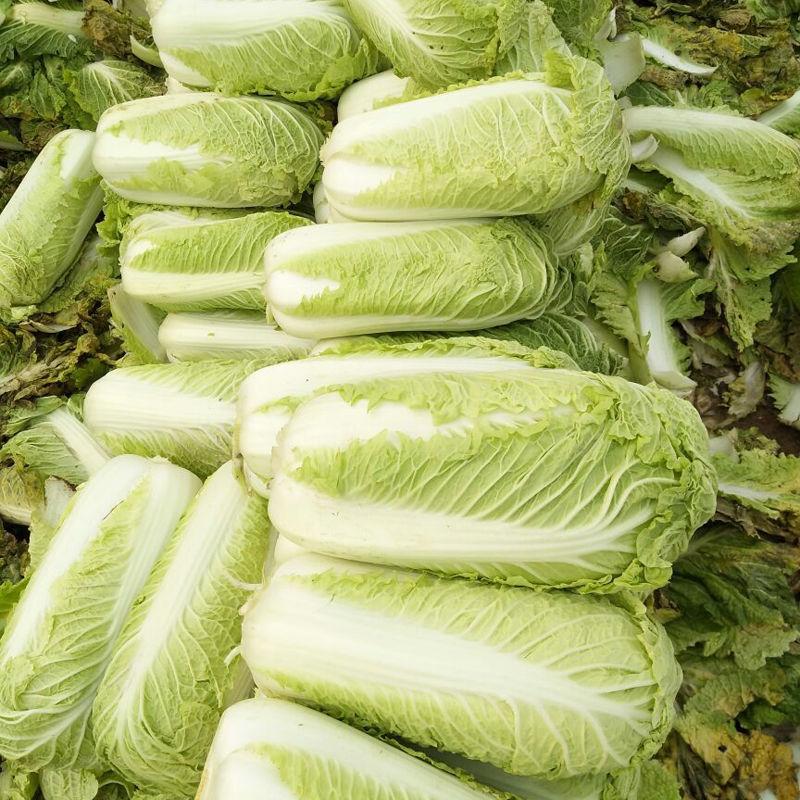 现在集市上超市里的有些蔬菜做饺子馅料，还敢用吗？还能用吗？

今天七月十五中元节