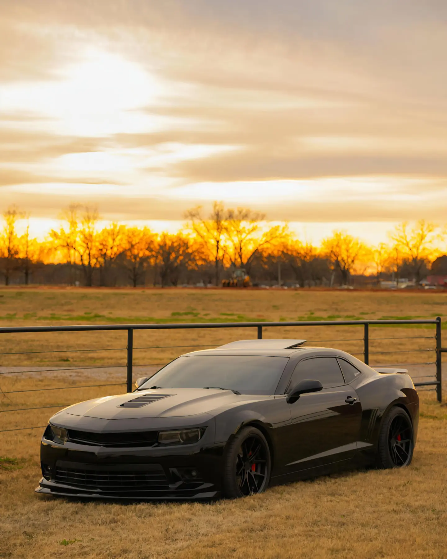 后知后觉又过了一个秋 后知后觉我该好好生活 科迈罗