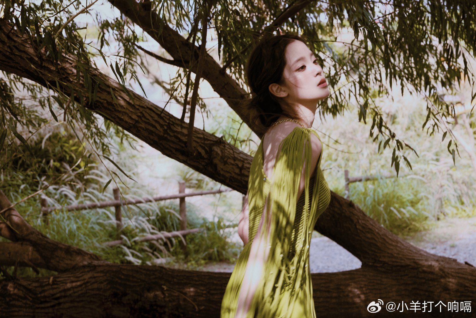 欧阳娜娜你神图有了欧阳娜娜的图都好会拍啊，这个光打在身上慵懒惬意的感觉一下子就出