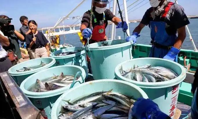 [浮云]当初日本把核污水往海里倒，全球骂声一片，连海鲜都没人碰。可两年过去，不但