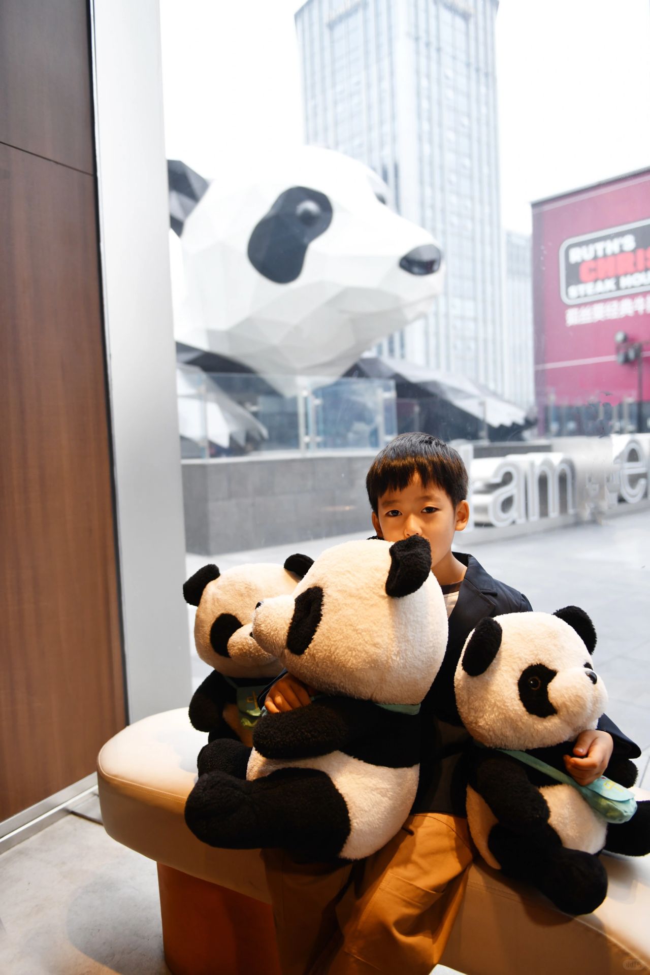 成都IFS天台熊猫隐藏机位🐼避开人挤人📷