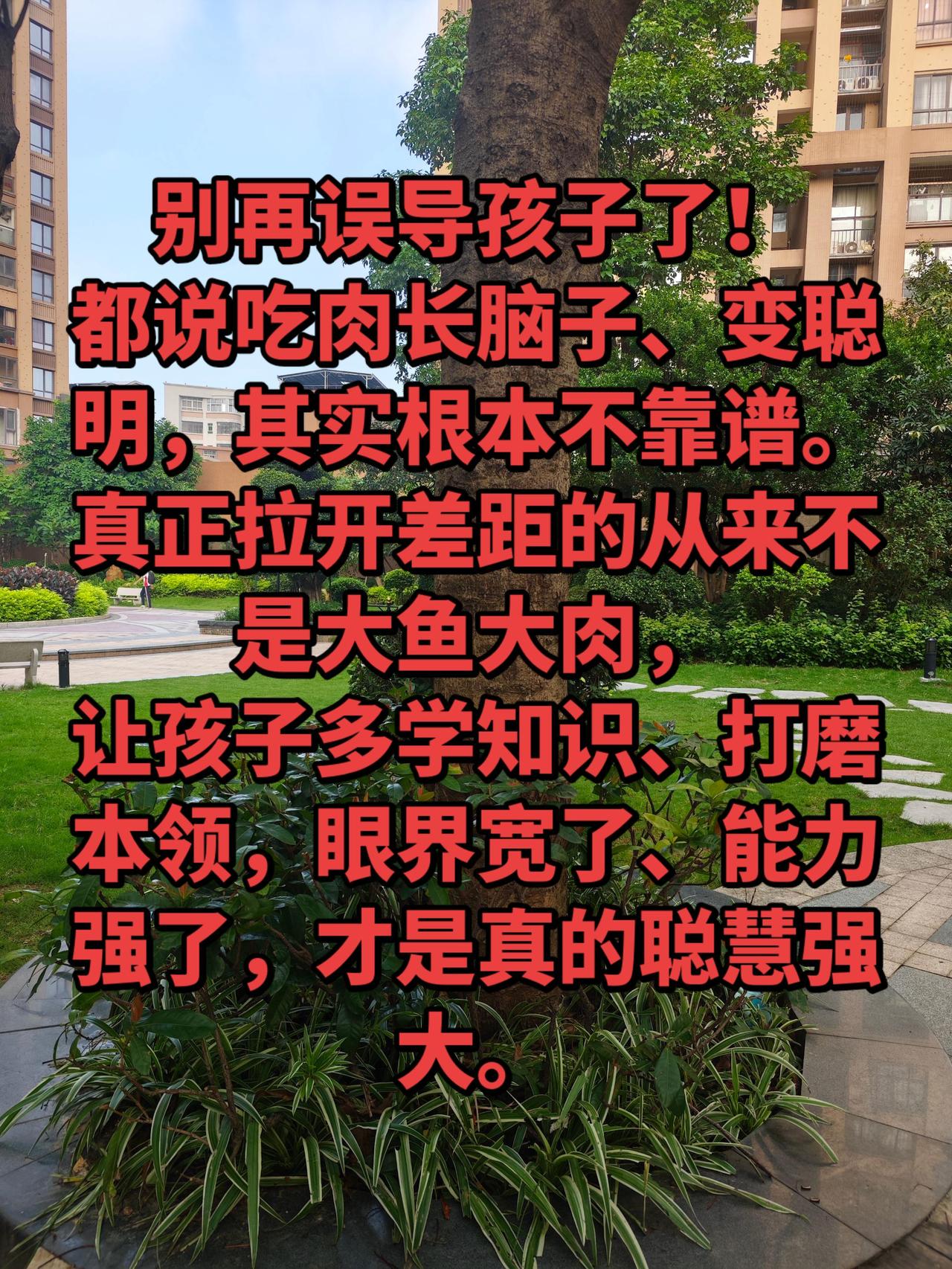 吃肉真的可以变聪明吗？别在误导孩子了