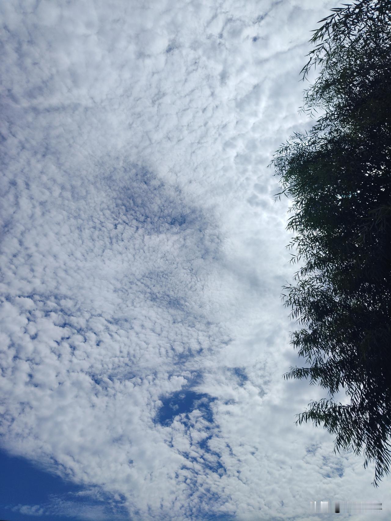 我相册里最近的天空照，就是雨后的积雨云。上次大雨过后，天空美到让人失语。
 我所