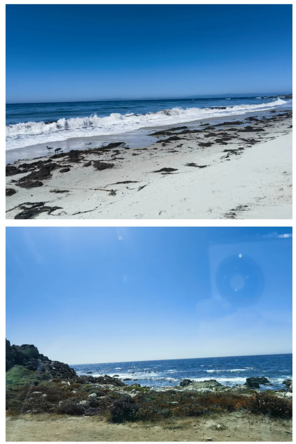 一直想去加州自驾，这期视频直接做成出行指南，雷霆山过弯场面惊艳，很难想象大车能高