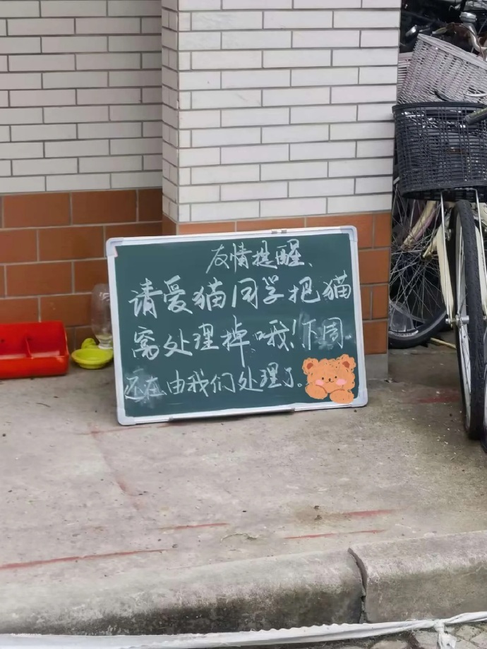 小猫你是懂反叛的