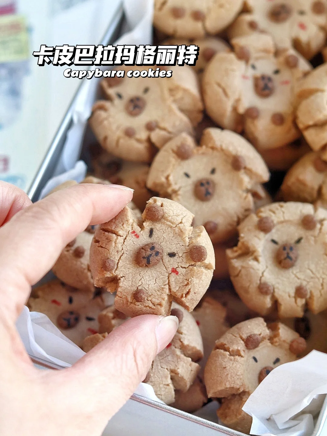 🔥入口即化！卡比巴拉 水豚玛格丽特饼干