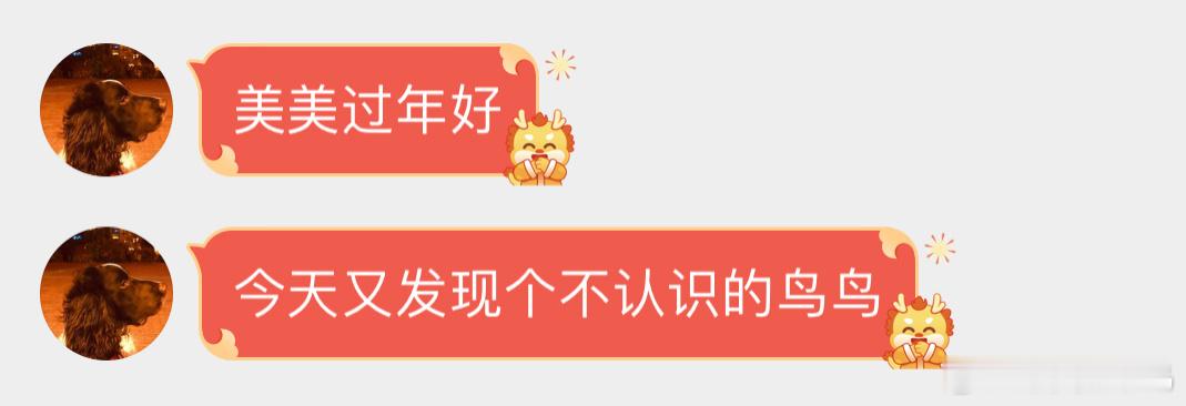 圆圆的太平鸟羽毛特别顺滑～ ​​​