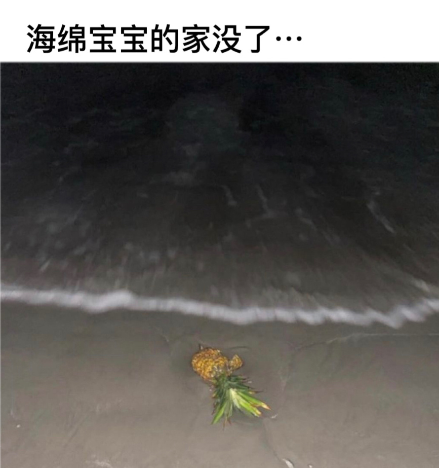 节哀#今日memes# //#镜头下的笑容# ​​​