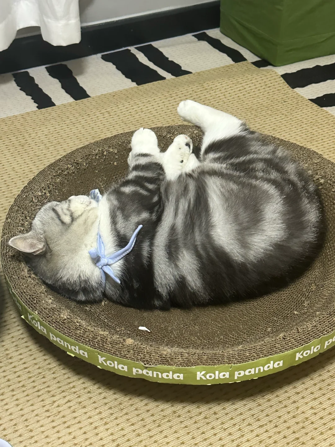 猫抓板用了两天就抓旧了！真是浑身牛劲！