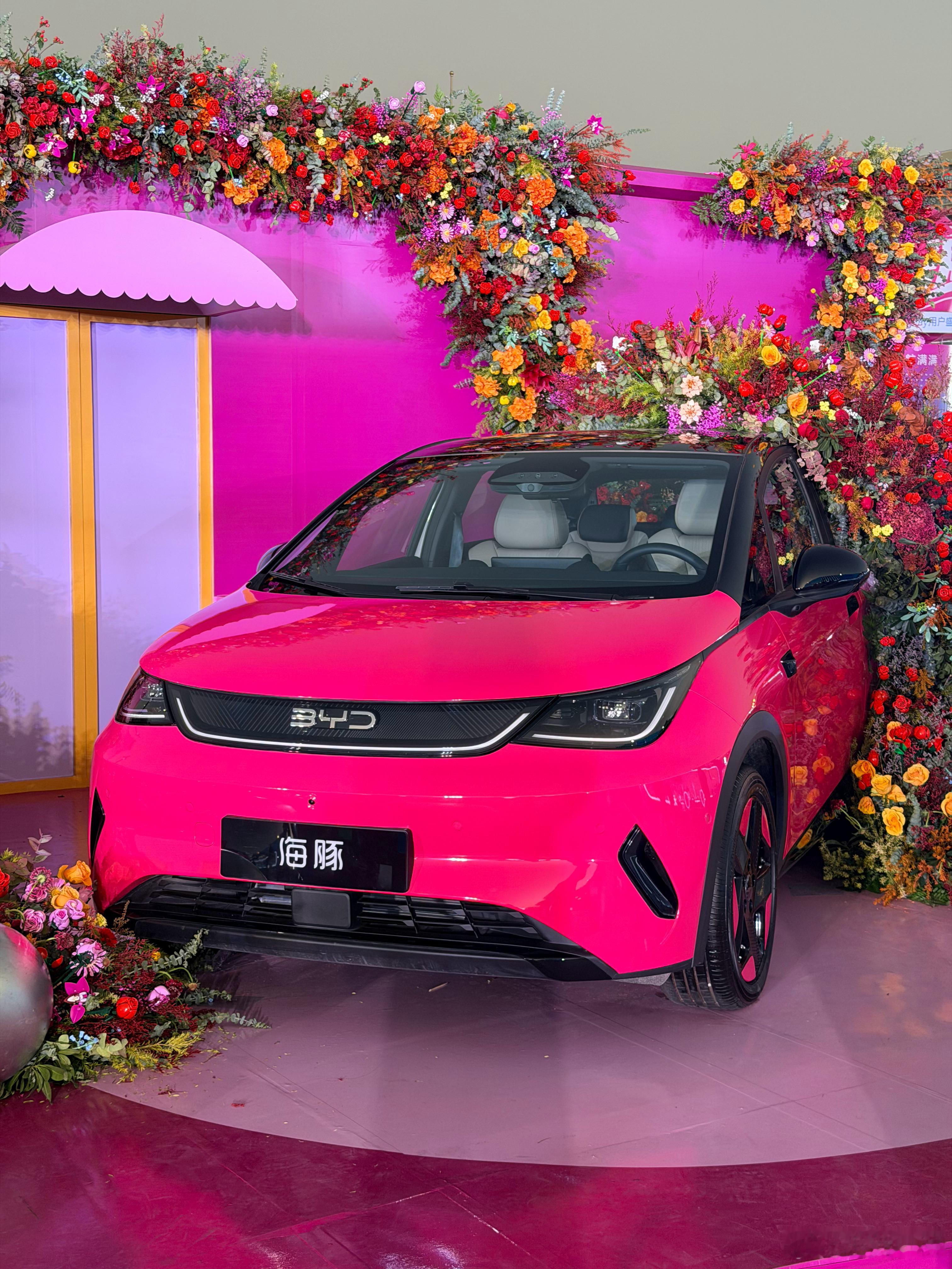 集合！来Ocean Day咯！比亚迪海洋网四周岁啦，今天和600万的海粉朋友们一