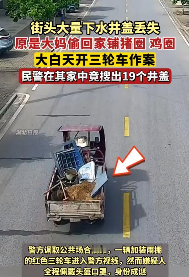 "井盖变地板？大妈5次狂偷19个市政井盖，给鸡鸭打造'豪华别墅'！"
见过偷钱的