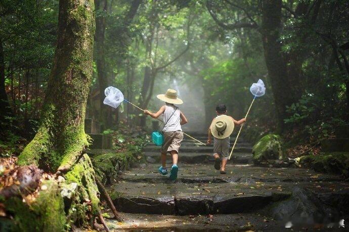 想回到小时候，去过一个安逸的夏天。生活手记