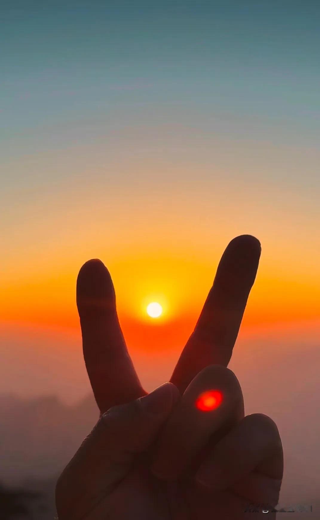 我的摄影日记拥抱阳光