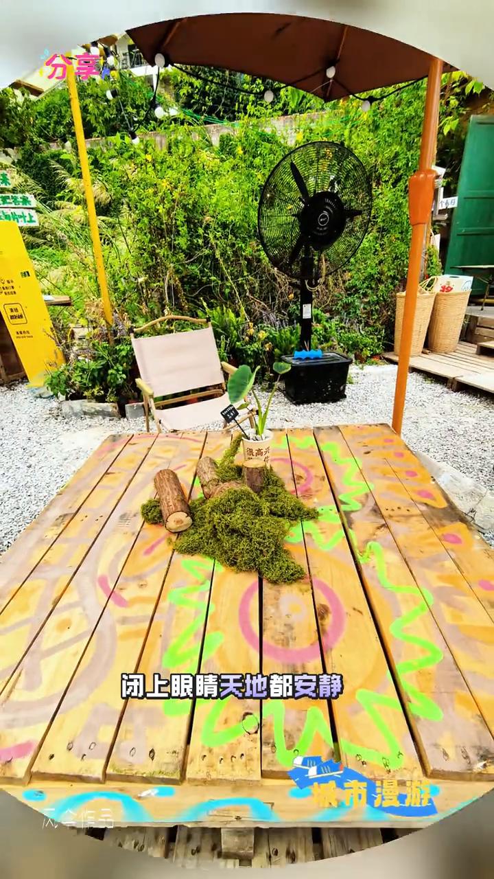 芋田田(绿洲村店)轻打卡。
琴声慢诉山河，一弦一字都是你。绕过青瓦爬上老城墙里，