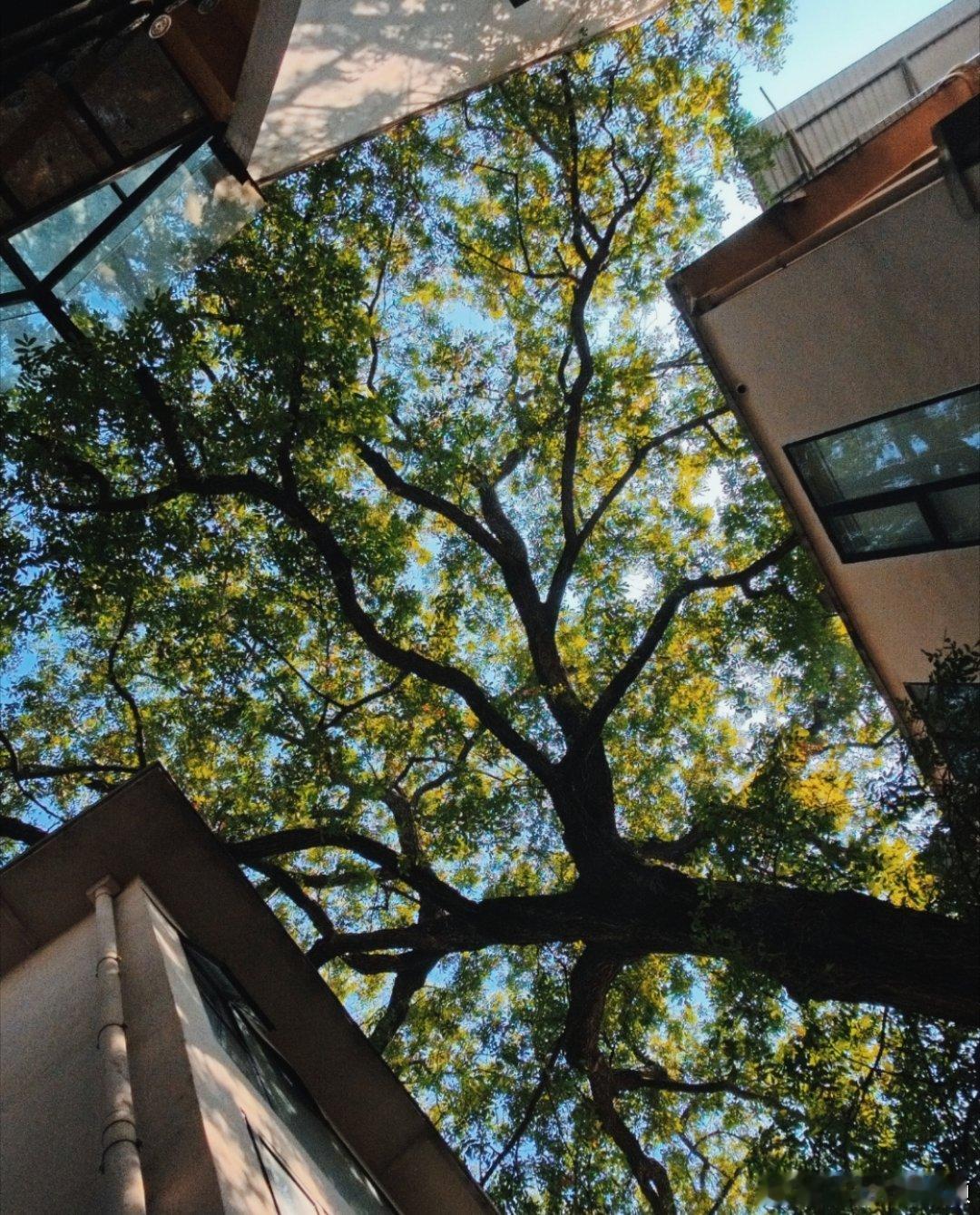 🔅每日‬一善 🔅 “最艰难的时候别老想着太远的将来，只要鼓励自己熬过今天就好