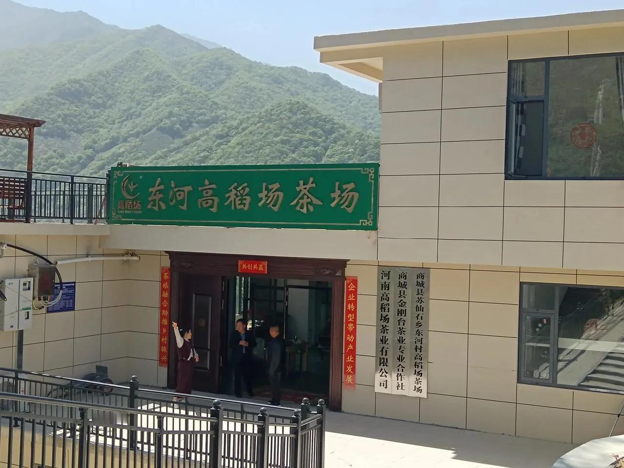 东河高稻场，山间茶篓晃，
屋内炒茶香，写好茶文章。
 
       踏入东河高