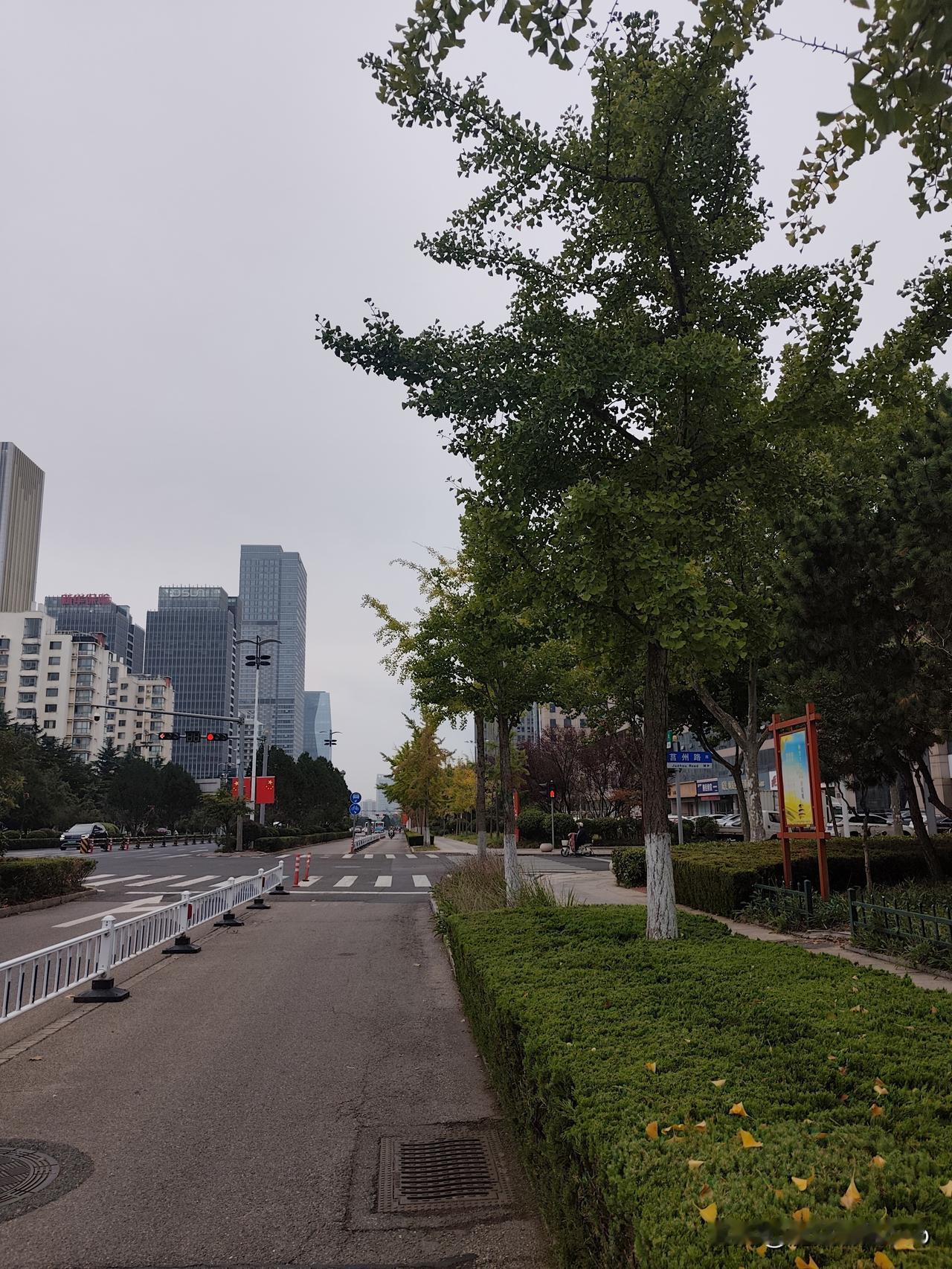 你说怪不？
30来岁时，天天想着跑出去旅游。
50岁了，却哪哪都不想去了，起先以
