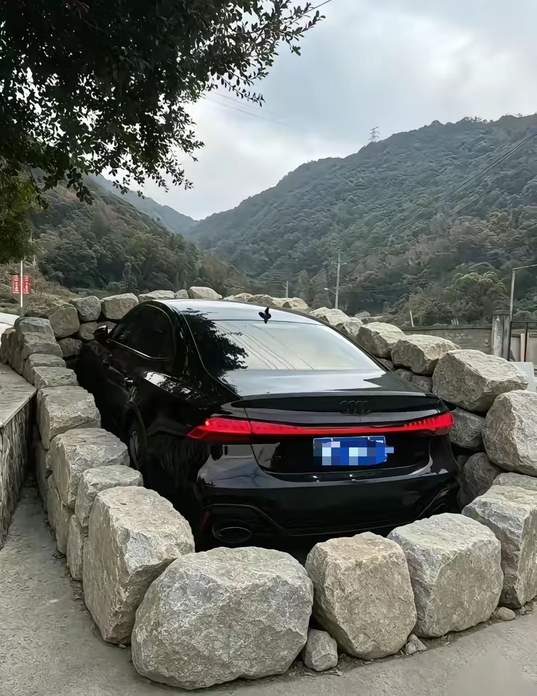 台风来了，我这样的应该可以吧？