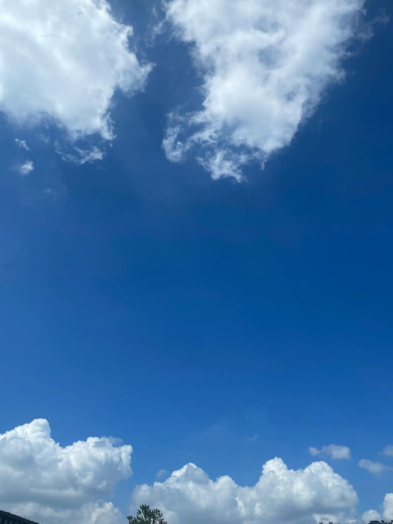 
一天一点进步，哪怕是梦里。
许久以来，找不到奋斗的目标，感觉走进了死胡同，没有