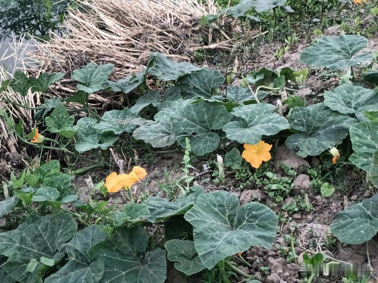 上联：贫在闹市无人问
下联:   善居穷巷有邻亲
