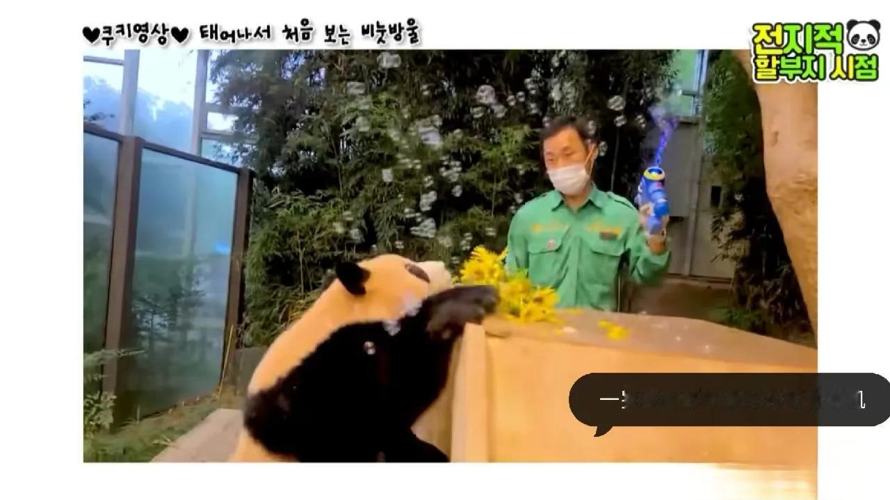 隔三差五不重样的玩具和礼物
实力演绎什么叫隔辈亲[送自己一朵花]