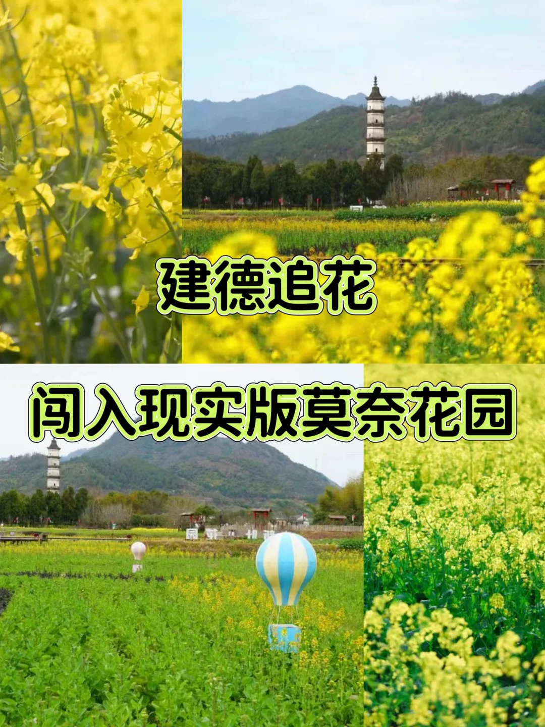 🌸建德追花 | 闯入现实版莫奈花园