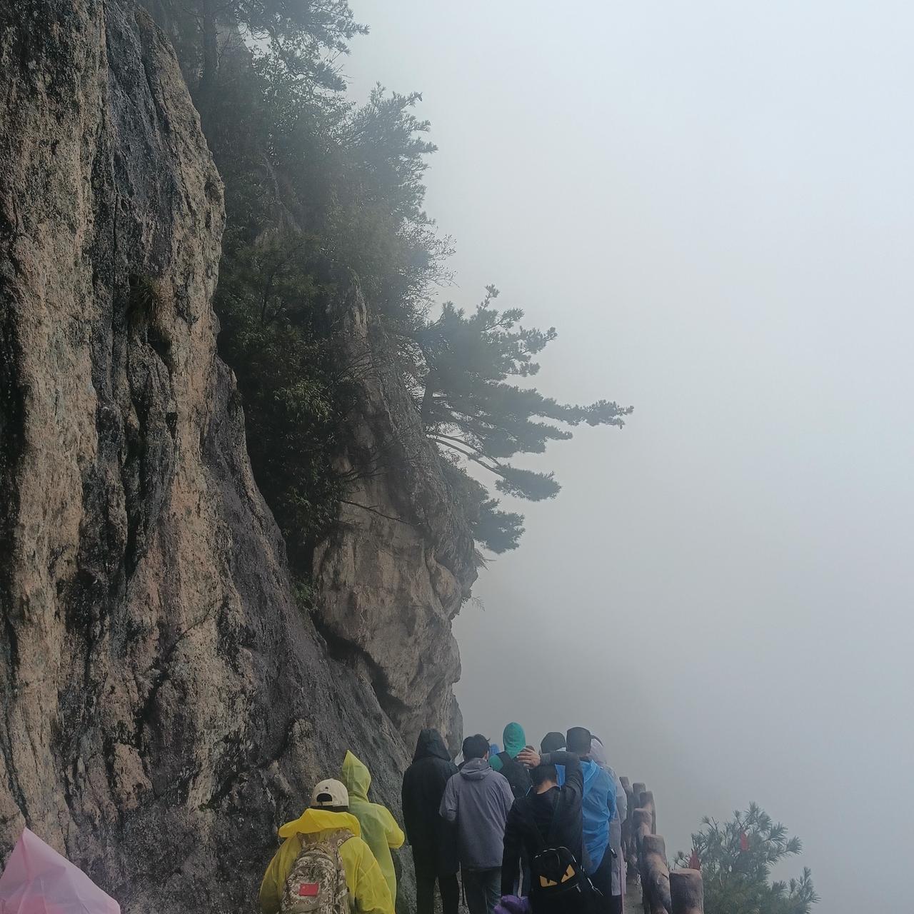 老家河南，老君山一游：心灵与自然的深情相拥

十一长假，自驾游的热潮如潮水般涌动