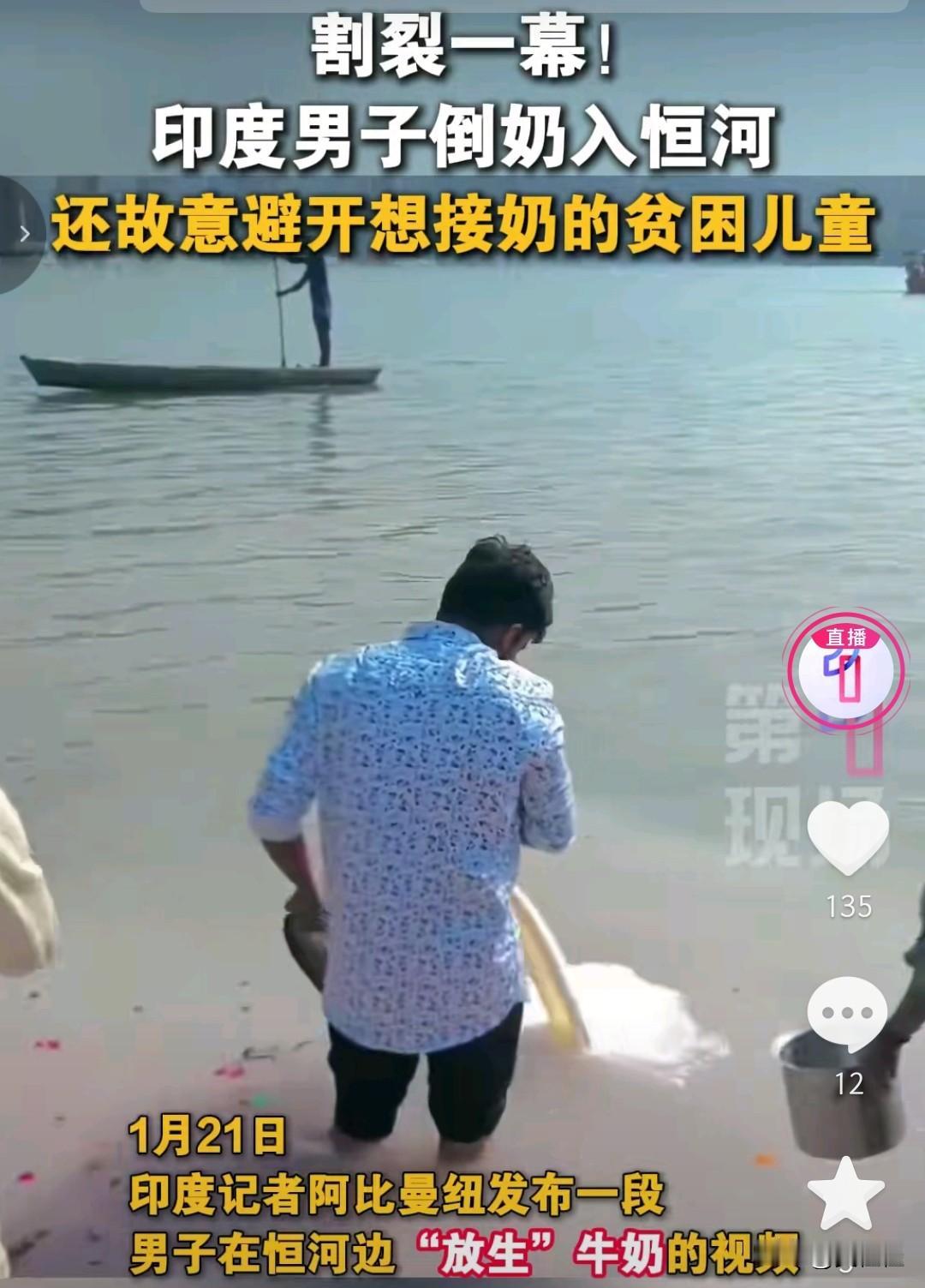 在印度，牛被奉为神圣，牛奶更是宗教仪式里的“圣物”，可这神圣的背后，是无数孩子连