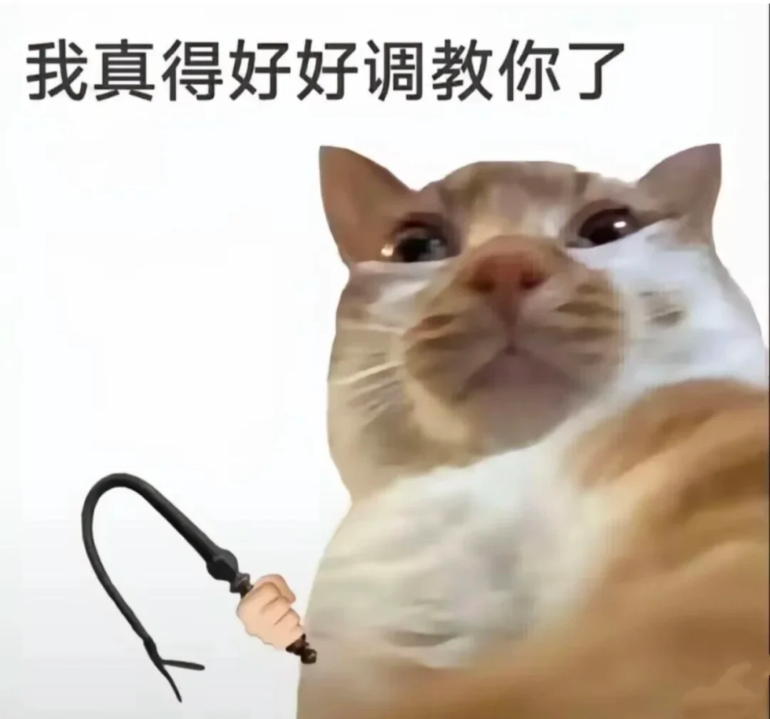 最近看到个把小兔子和鸡放一个笼子里的视频