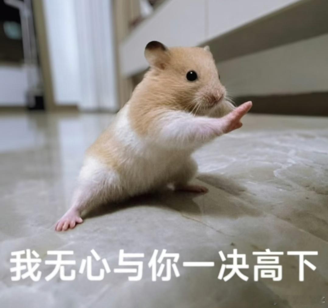 他今天中午就说了回家要揍我。大学生喜爱内容共创计划