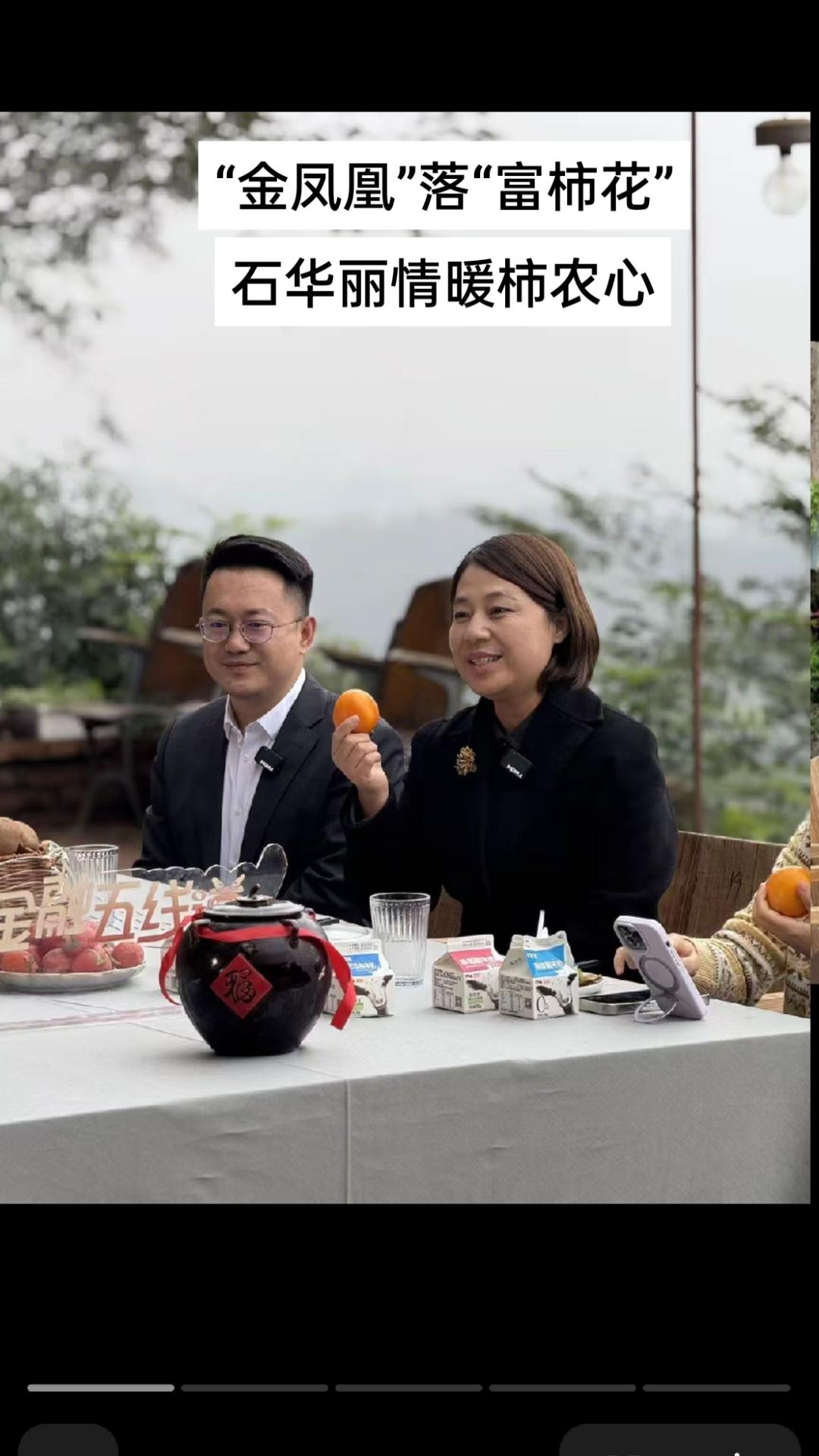     富平曹村的柿子林里，霜降后的红柿挂满枝头，像一串串红灯笼点亮了渭北平原的