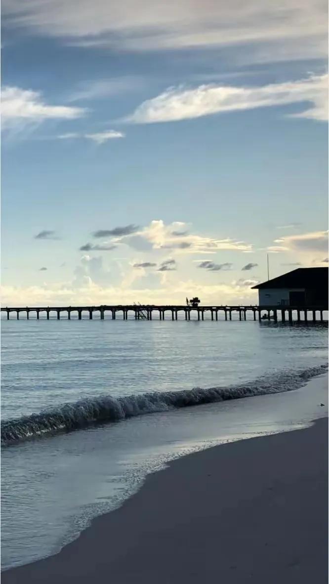 大清早打菜市场过，瞅见个大爷在角落里摆自家种的青菜呢。他弓着身子蹲在角落，面前摆
