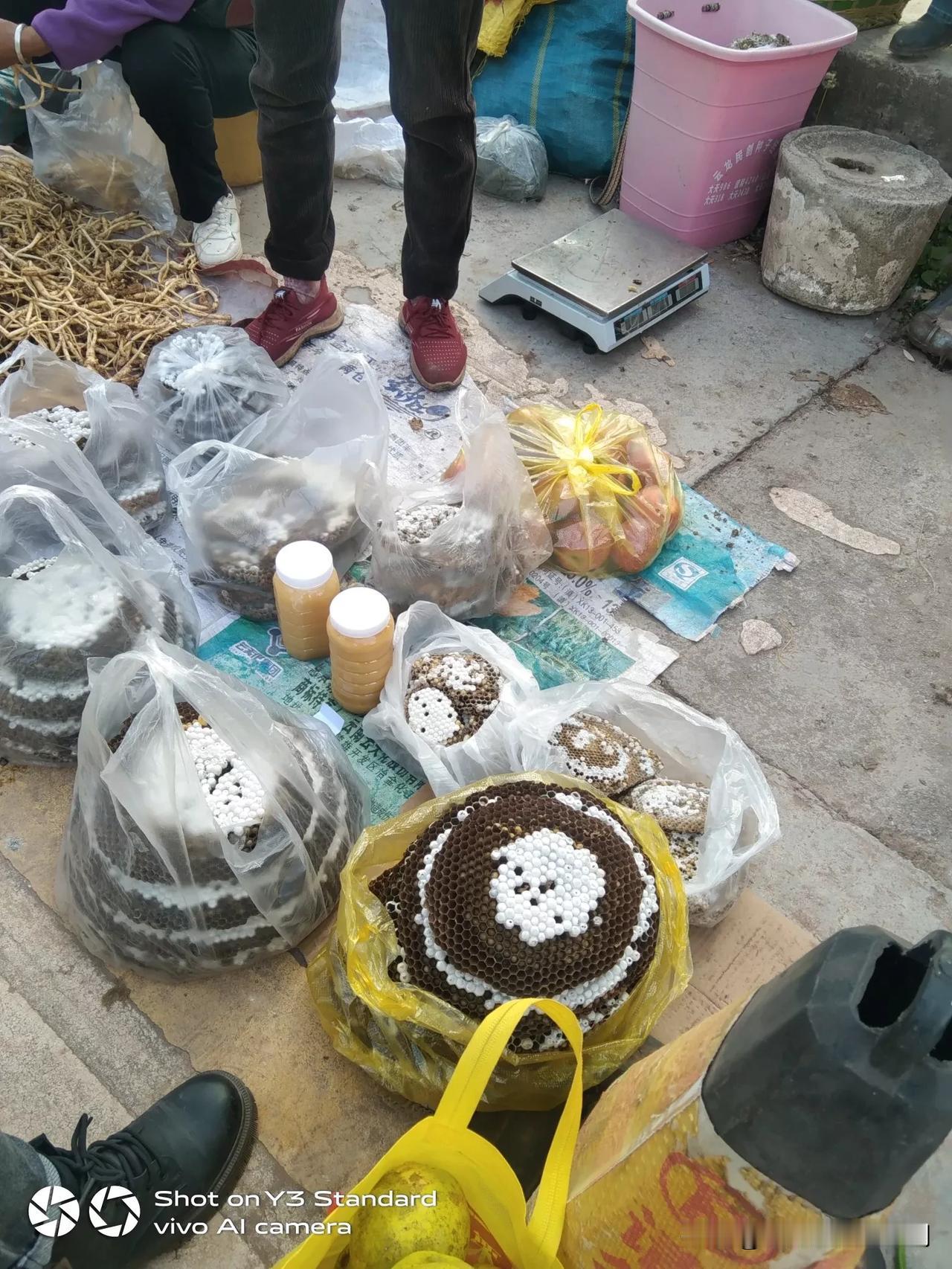早上去赶集，也见到很多人，在卖马蜂片，现在但多数是人工养殖的，价格比前几年低了。