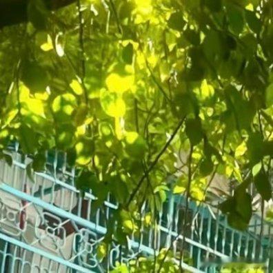 🎍阳光信用🎍每日一善🎍“勿以恶小而为之，勿以善小而不为。”每一次小小的善举