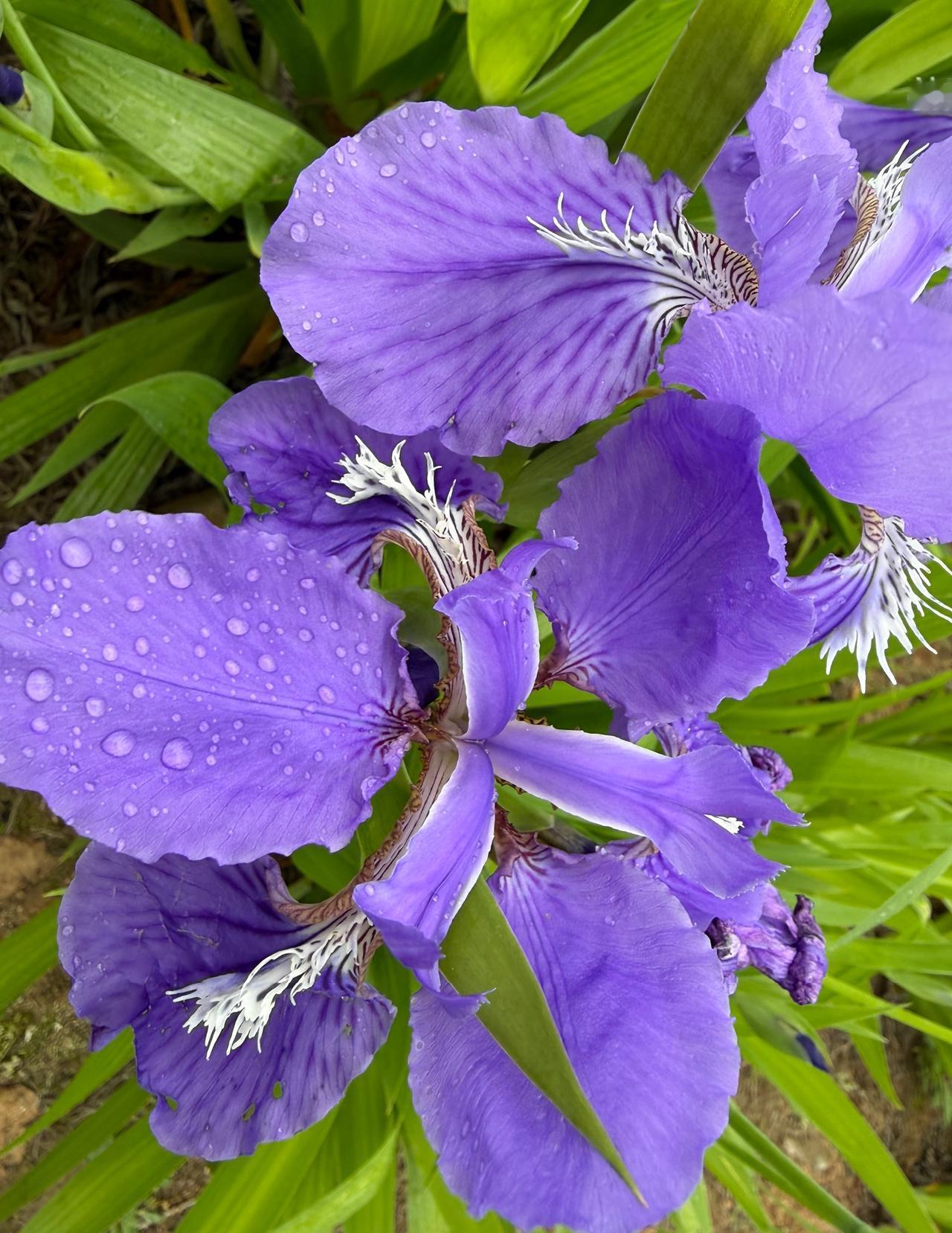 我发现一件有意思的事。

大多数长寿老人，都有一个共同点，他们情绪很稳定，整天笑