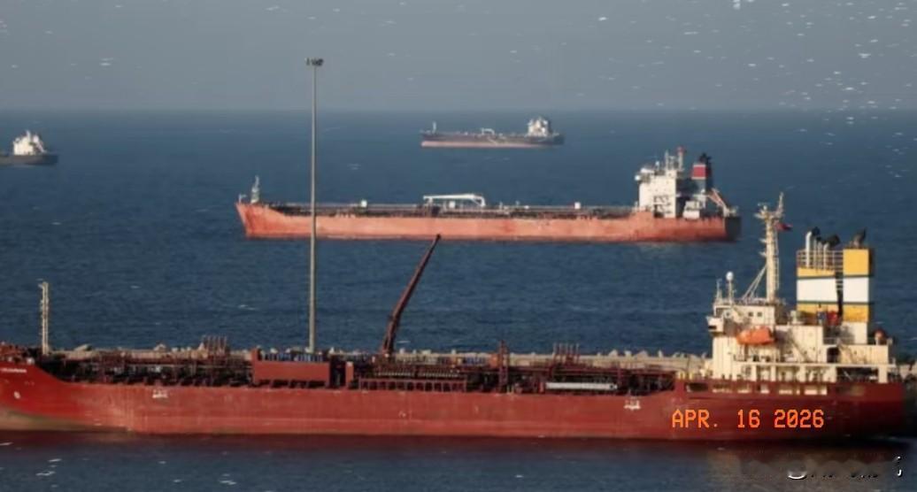 阻止以色列，
比利时开始行动了。
当地时间26年的4 月 14 号，比利时权威媒