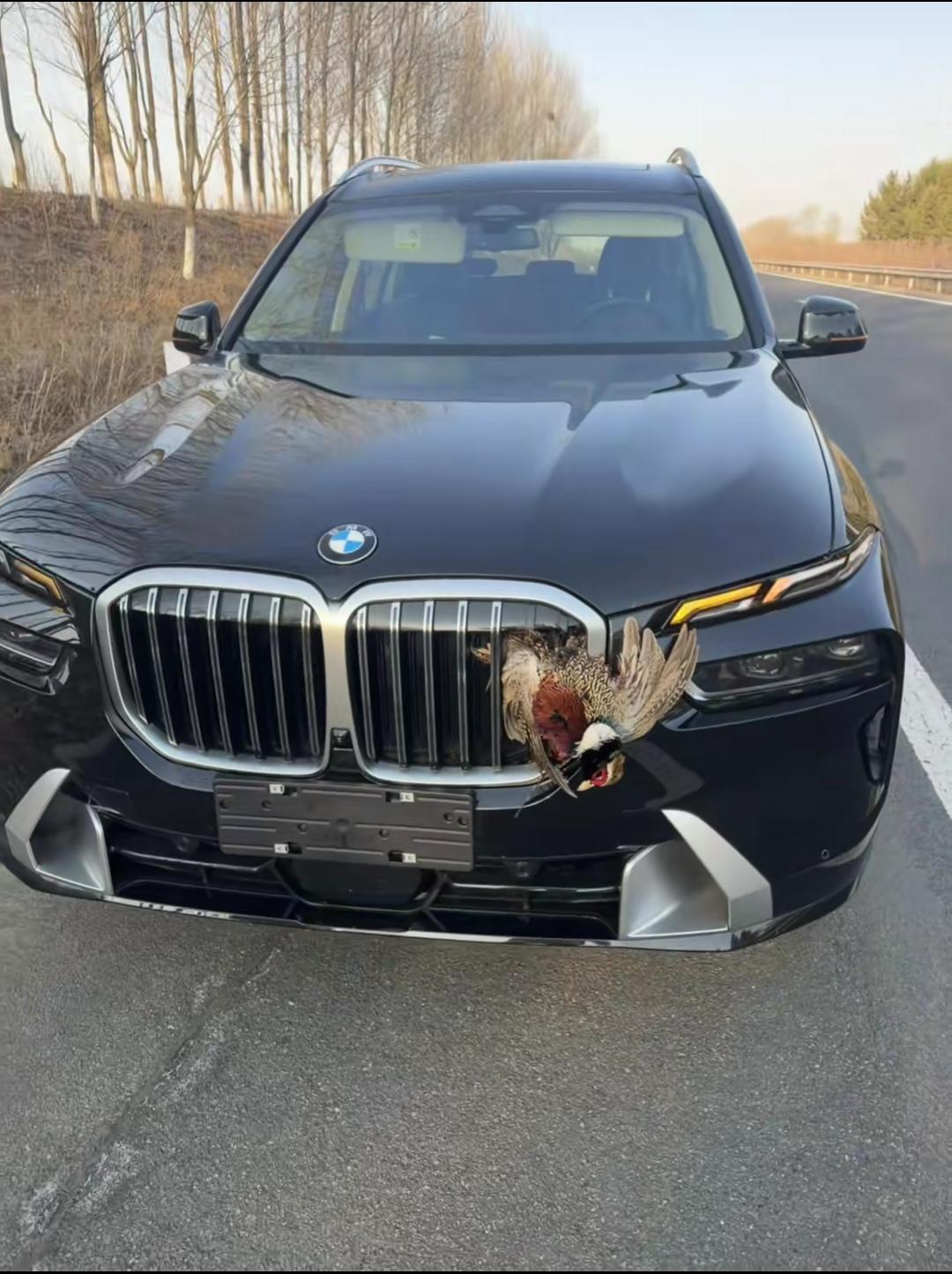 4月7日辽宁，一位宝马X7车主，刚提的新车还没上牌就撞上了野鸡！

能够买这么贵