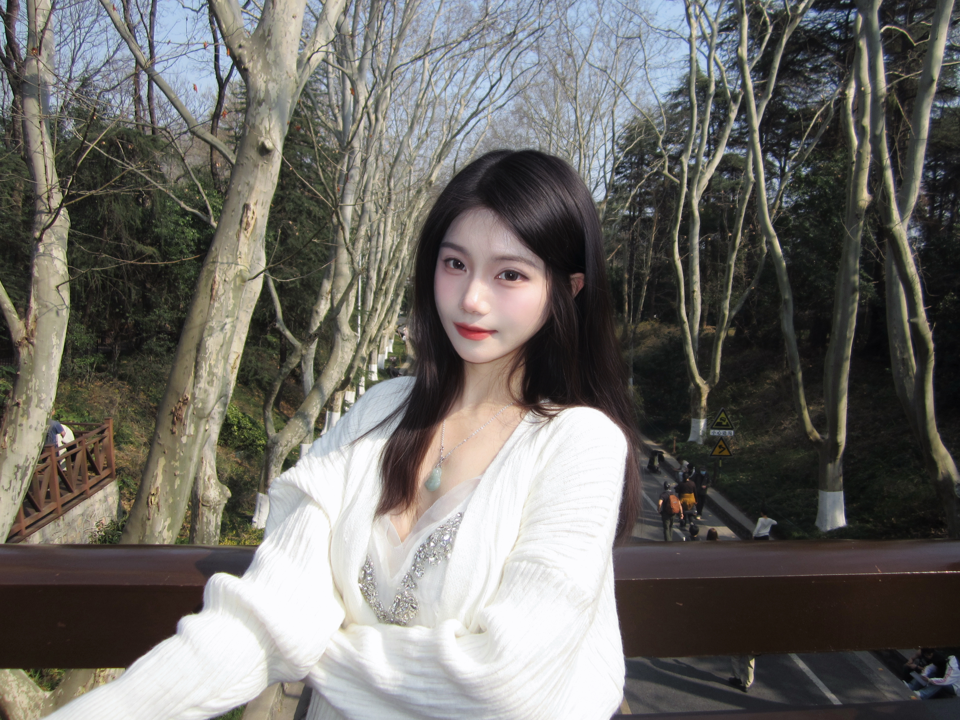 🍃🕊🪾⸝⸝>ヮ<⸝⸝。⋆美龄小姐喜欢梧桐树 那我就种满整个南京 