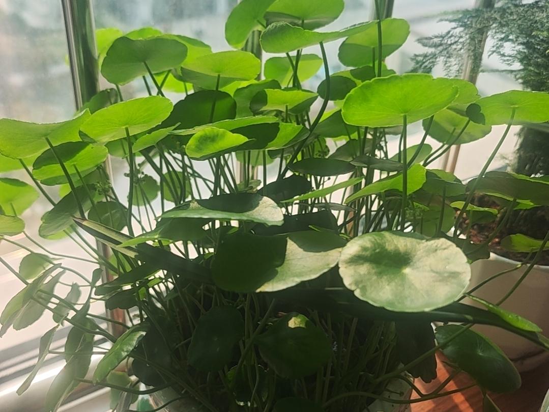 今天比昨天进步就是超越！
一个人，一个国家的进步就是不断超越自己，每天进步一点点