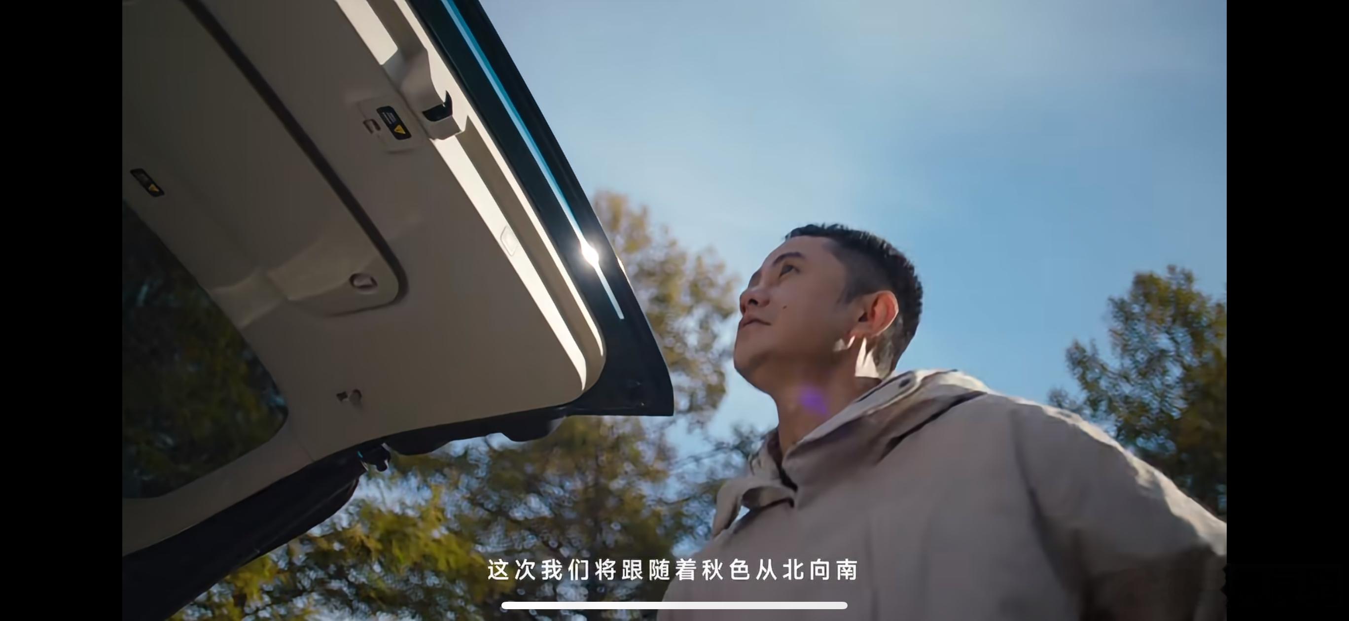 看中国国家地理去呼伦贝尔追秋天，整片草原褪去绿意，换上温柔的金黄色，风吹过白桦林