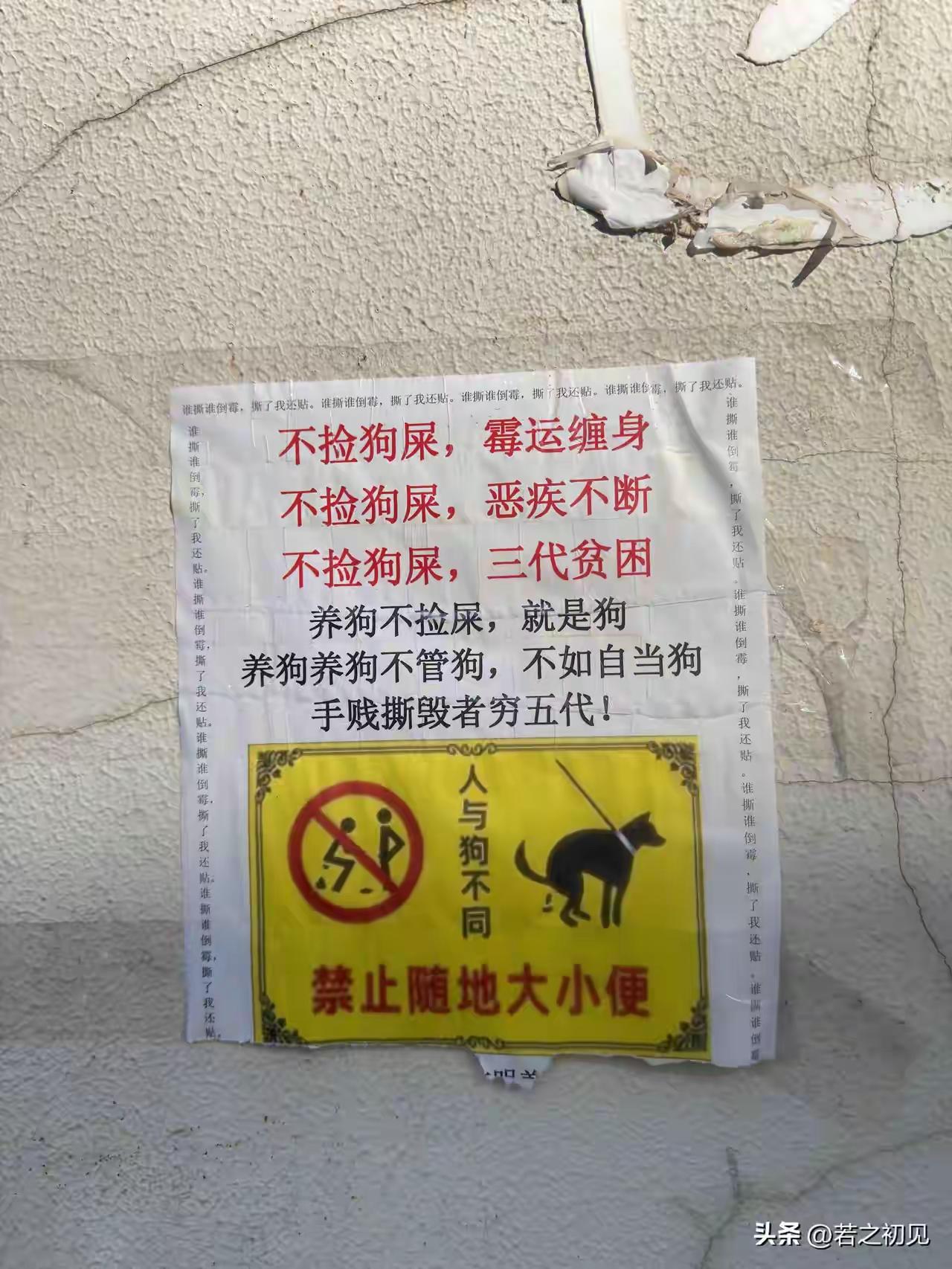 这告示没人敢撕！

一个小区的业主爆出他们小区有业主对于狗主人不文明养狗的行为深
