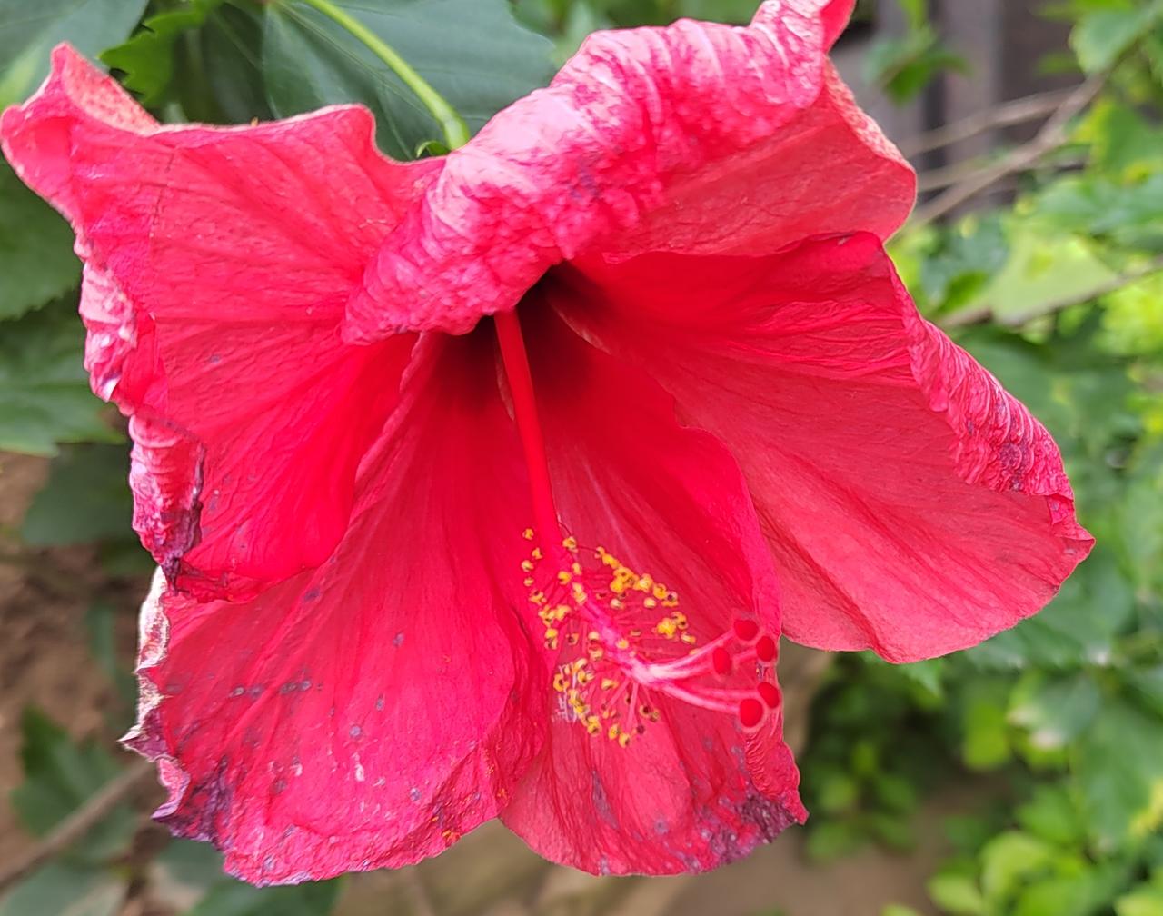 承认自己和孩子的平凡，不强求“光宗耀祖”。放过自己，也放过孩子，不为难别人，不折