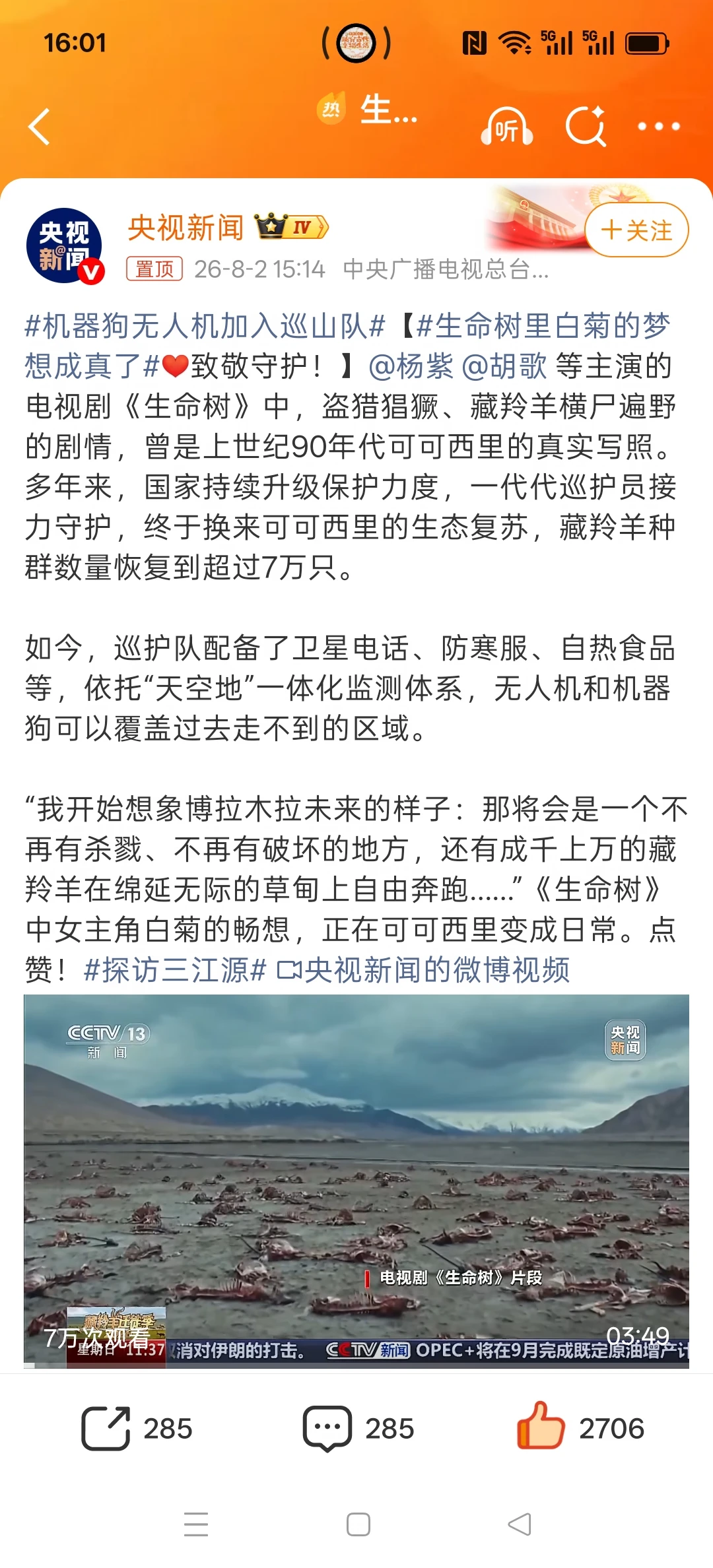 已经数不清多少次报道杨紫的白菊了！！！真的，生命树伟大