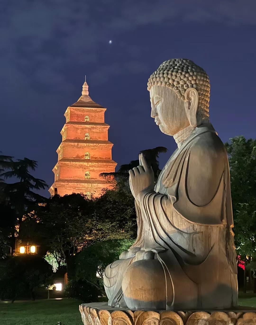 杜工部说：“ 仲夏苦夜短，开轩纳微凉”。         昨晚长安城狂风大作、夹