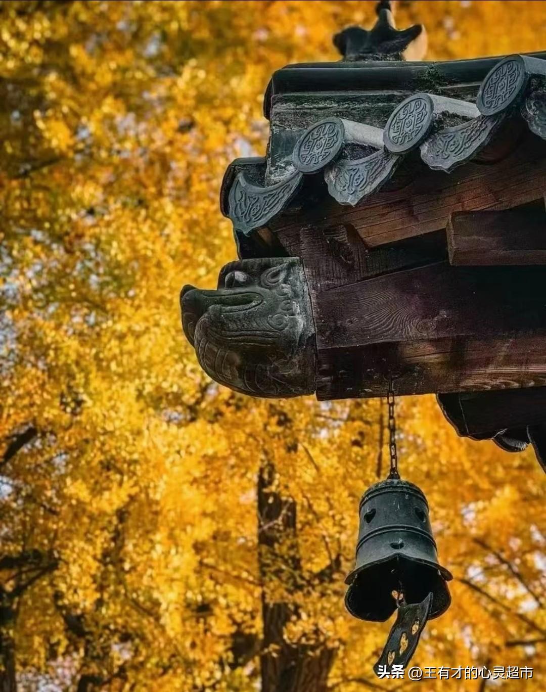 不介入他人因果，守好自己的福气！
    
       很多人一辈子热心、心软