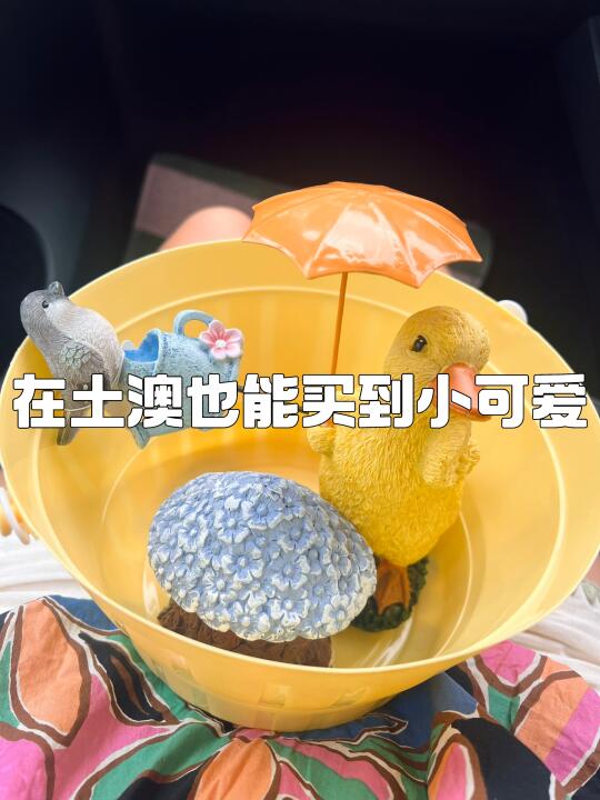 土澳The Reject Shop ·好多小可爱🐰