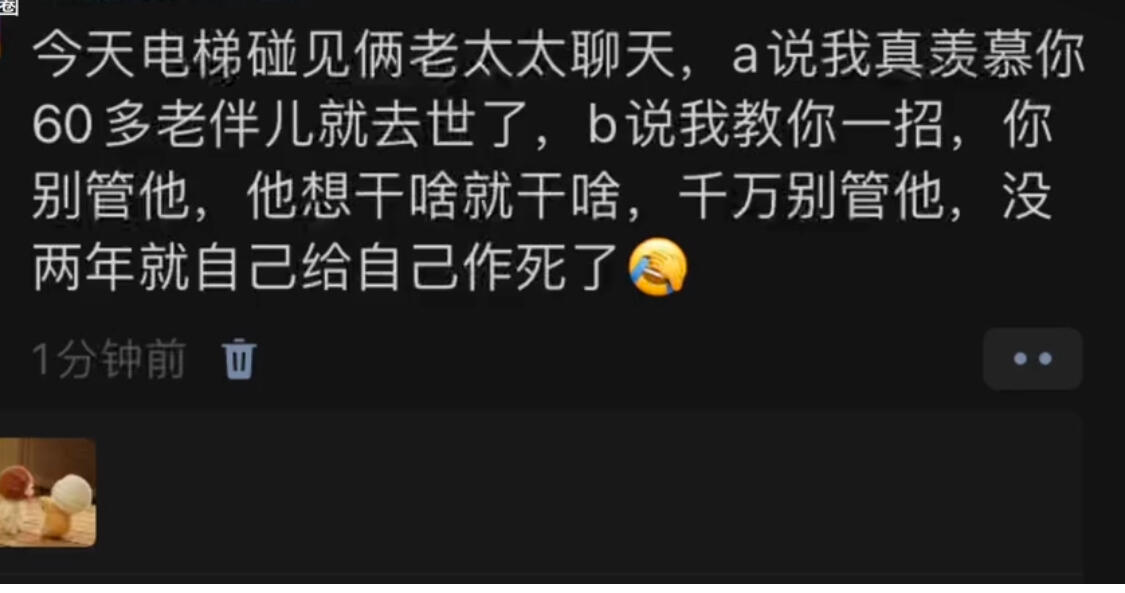 或许记性不好也是一种幸福吧 ​​​